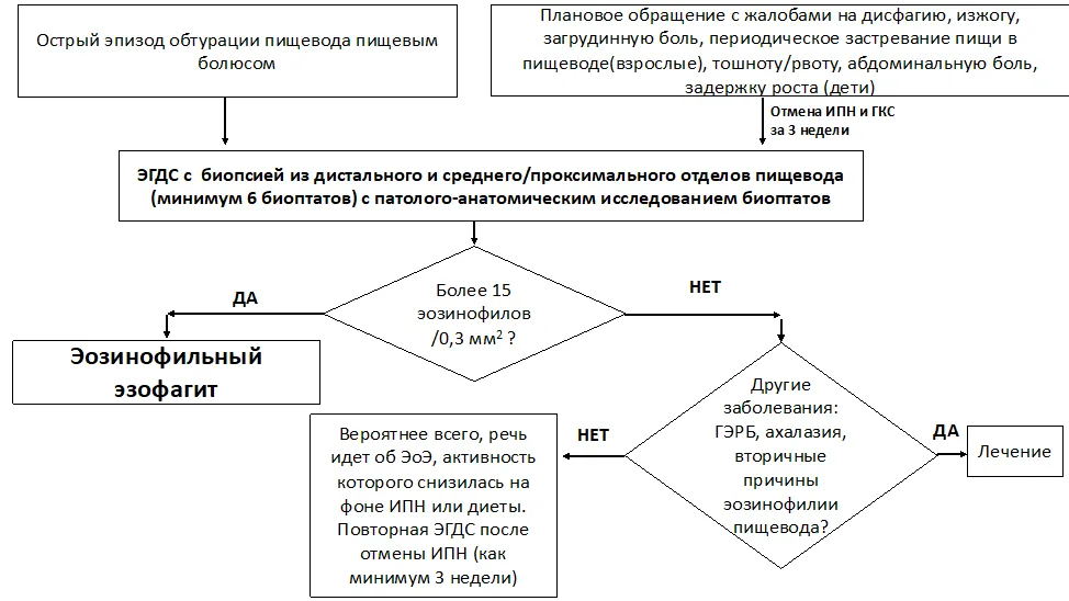 Приложение Б. Алгоритмы действий врача — Эозинофильный эзофагит