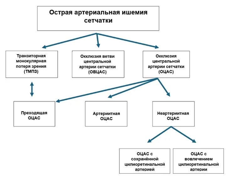1.5 Классификация заболевания или состояния — Ретинальные артериальные окклюзии