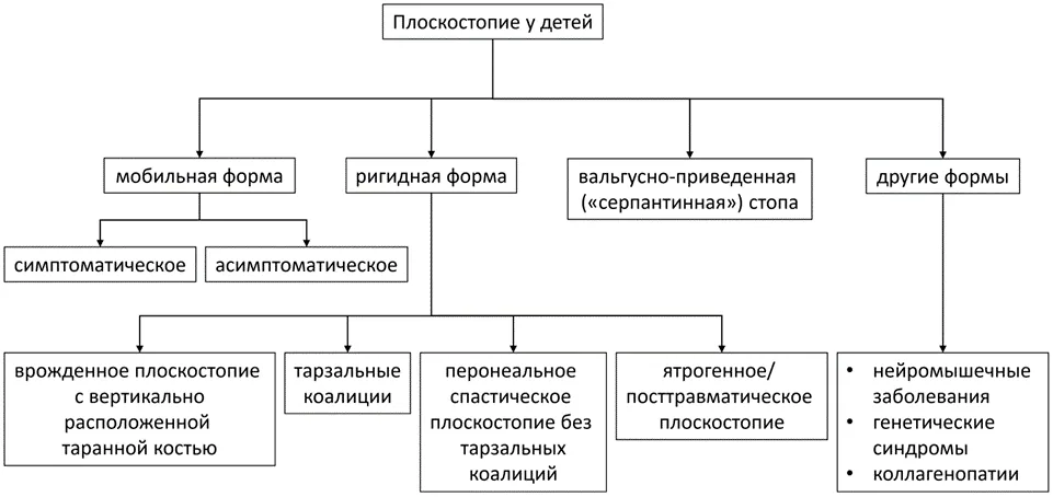 1.5 Классификация заболевания или состояния — Плоскостопие у детей