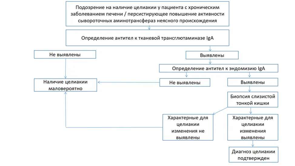 Приложение Б. Алгоритмы действий врача — Другие гепатиты