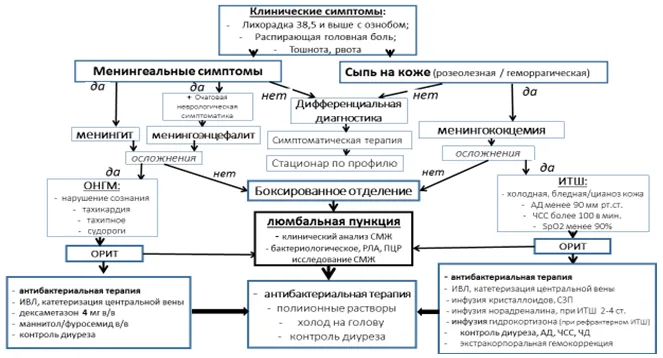 Приложение Б. Алгоритмы действий врача — Менингококковая инфекция