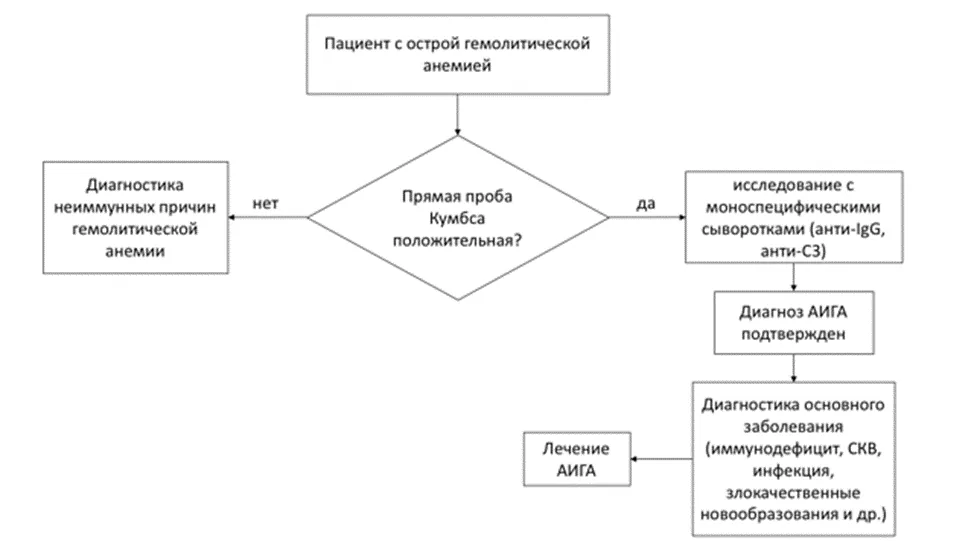 Приложение Б. Алгоритмы действий врача — Аутоиммунная гемолитическая анемия
