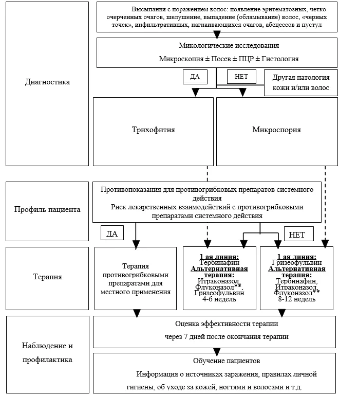 Приложение Б. Алгоритмы действий врача — Дерматофития