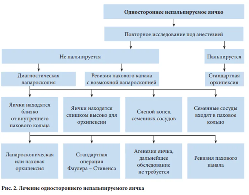 3. Лечение — Крипторхизм у детей