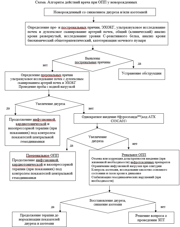 Приложение Б. Алгоритмы действий врача — Острое повреждение почек у новорождённых детей