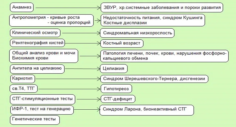 Приложение Б. Алгоритмы действий врача — Идиопатическая низкорослость у детей и подростков