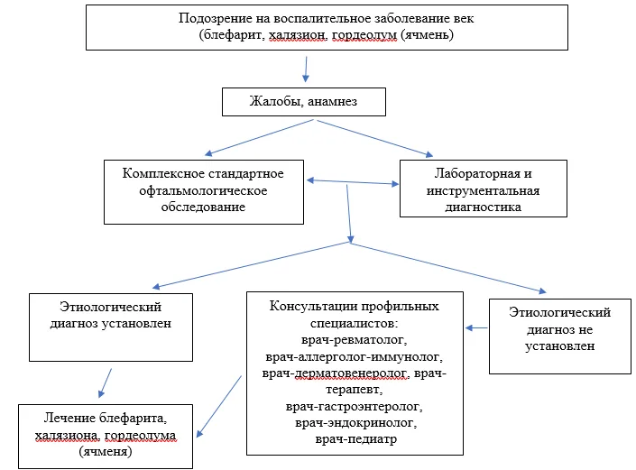 Приложение Б. Алгоритмы действий врача — Воспалительные заболевания век