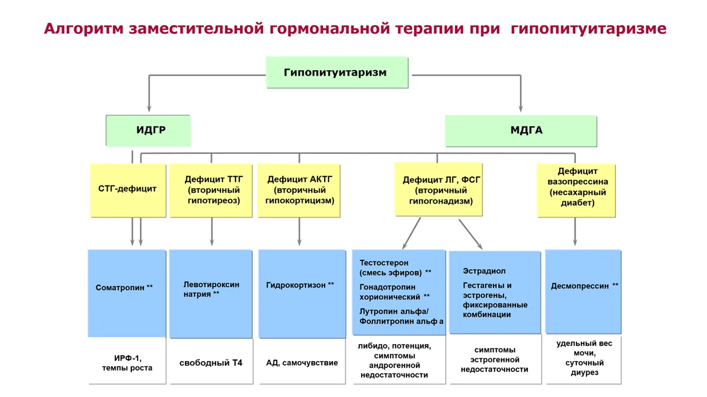 Приложение Б. Алгоритмы действий врача — Гипопитуитаризм