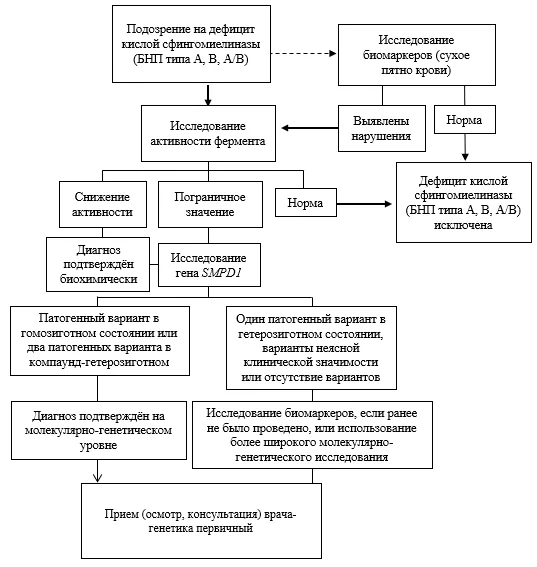 Приложение Б. Алгоритмы действий врача — Другие сфинголипидозы (болезнь Ниманна-Пика типа А, B, A/B)