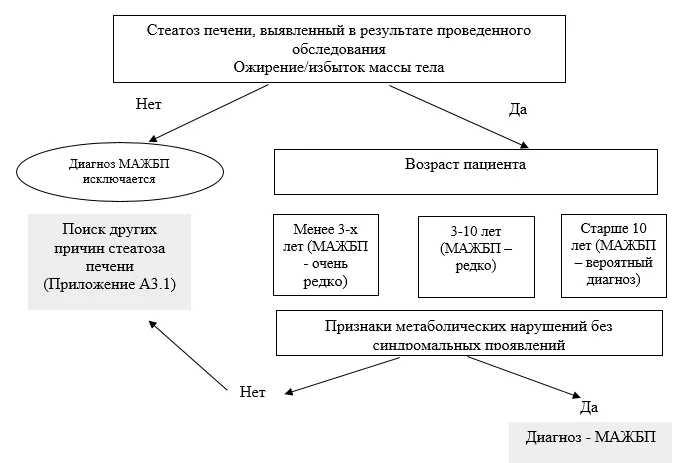 Приложение Б. Алгоритмы действий врача — Метаболически ассоциированная жировая болезнь печени у детей