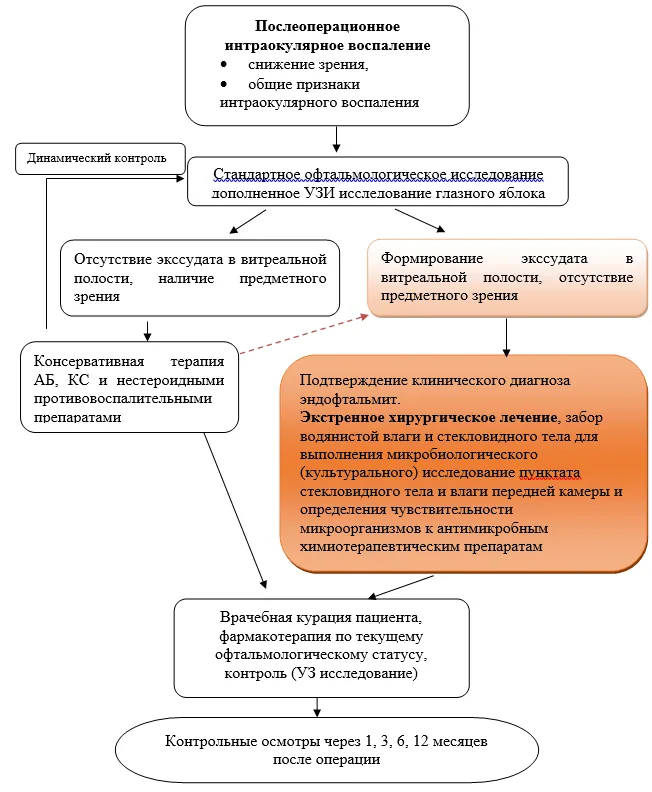 Приложение Б. Алгоритмы действий врача — Эндофтальмит