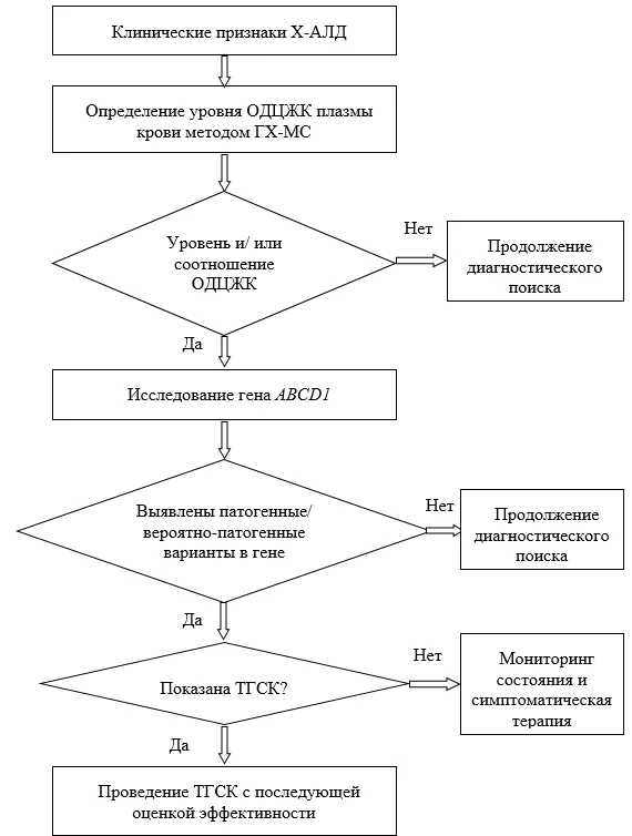 Приложение Б. Алгоритмы действий врача — X-сцепленная адренолейкодистрофия