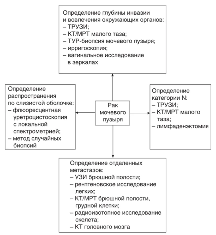 Приложение Б. Алгоритмы действий врача — Рак мочевого пузыря