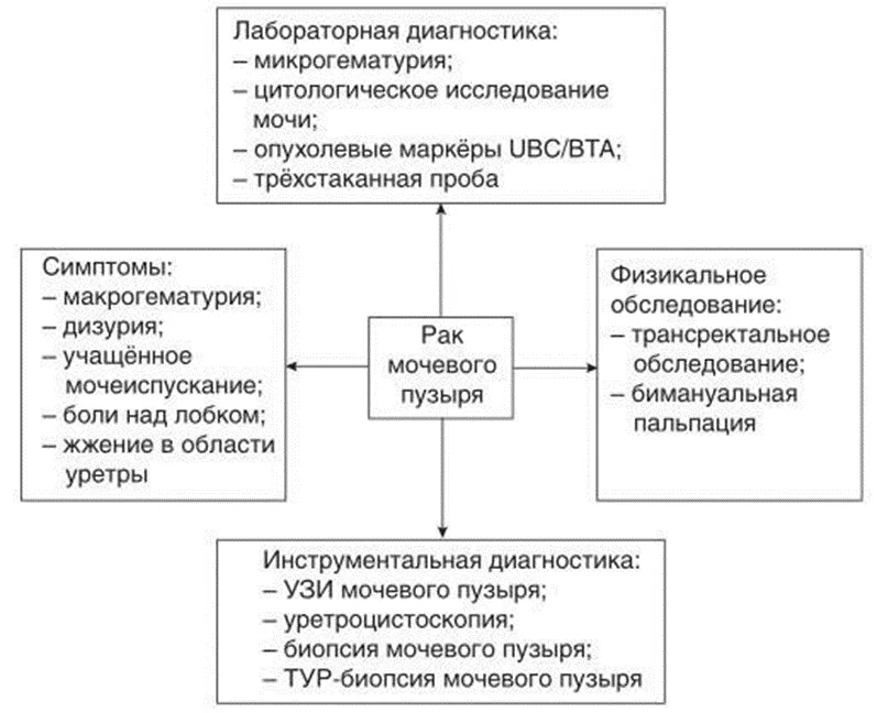 Приложение Б. Алгоритмы действий врача — Рак мочевого пузыря