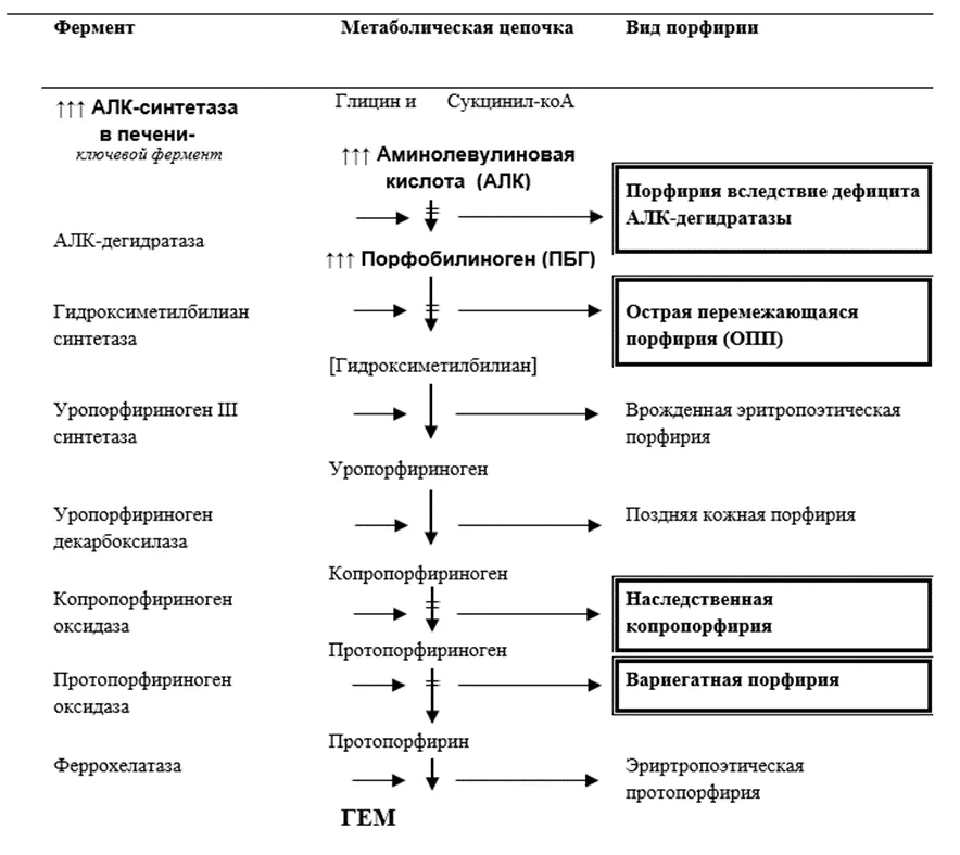 1.1 Определение заболевания или состояния — Острые порфирии