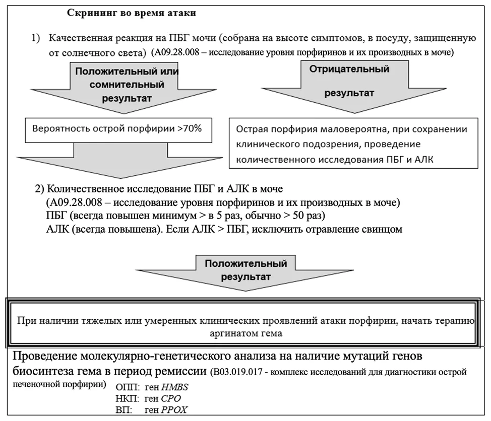 Приложение Б. Алгоритмы действий врача — Острые порфирии