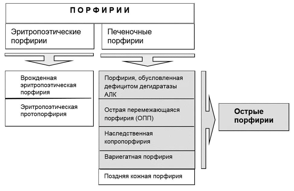 1.5 Классификация заболевания или состояния — Острые порфирии