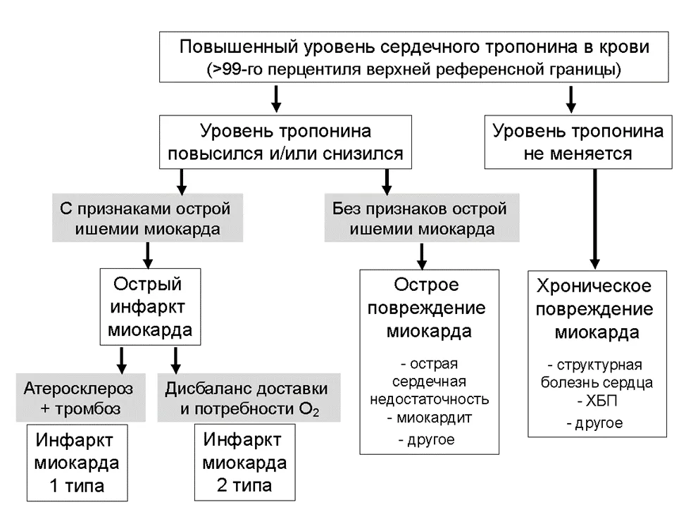 Приложение А3. Справочные материалы — Острый коронарный синдром без подъема сегмента ST электрокардиограммы
