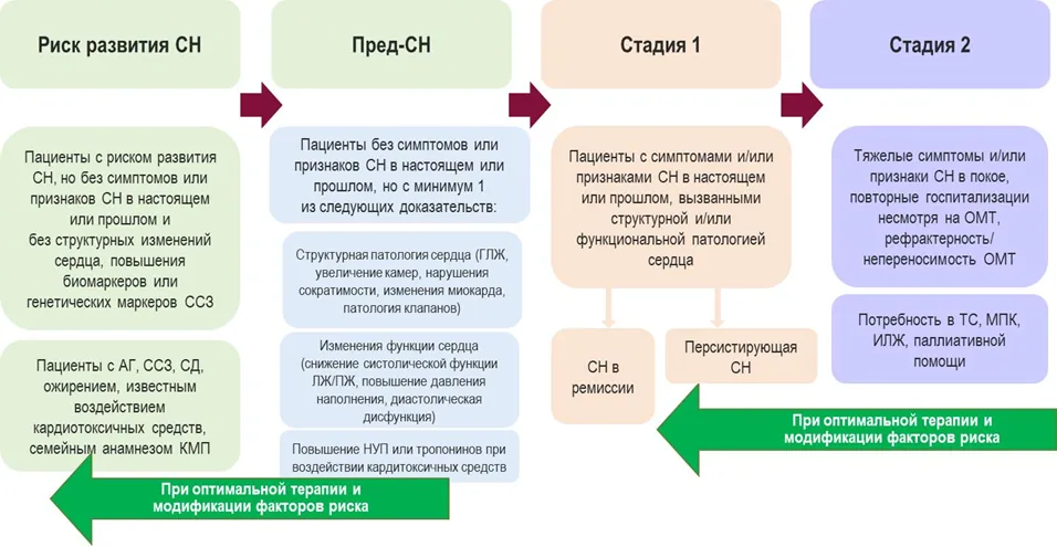 Приложение А3. Справочные материалы — Хроническая сердечная недостаточность