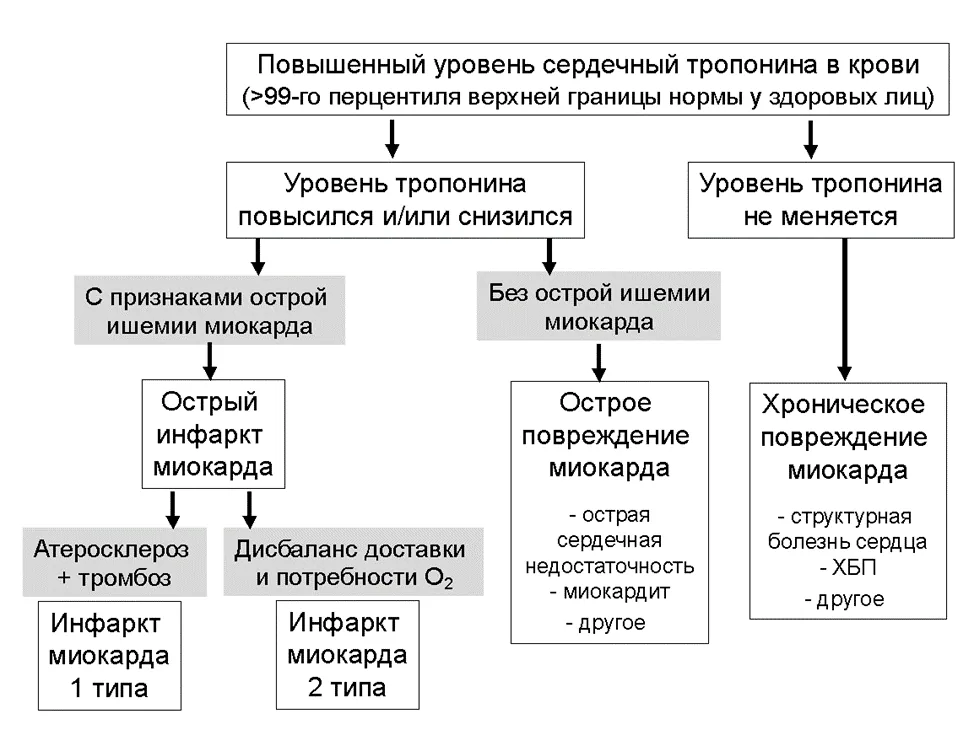 Приложение А3. Справочные материалы — Острый инфаркт миокарда с подъемом сегмента ST электрокардиограммы