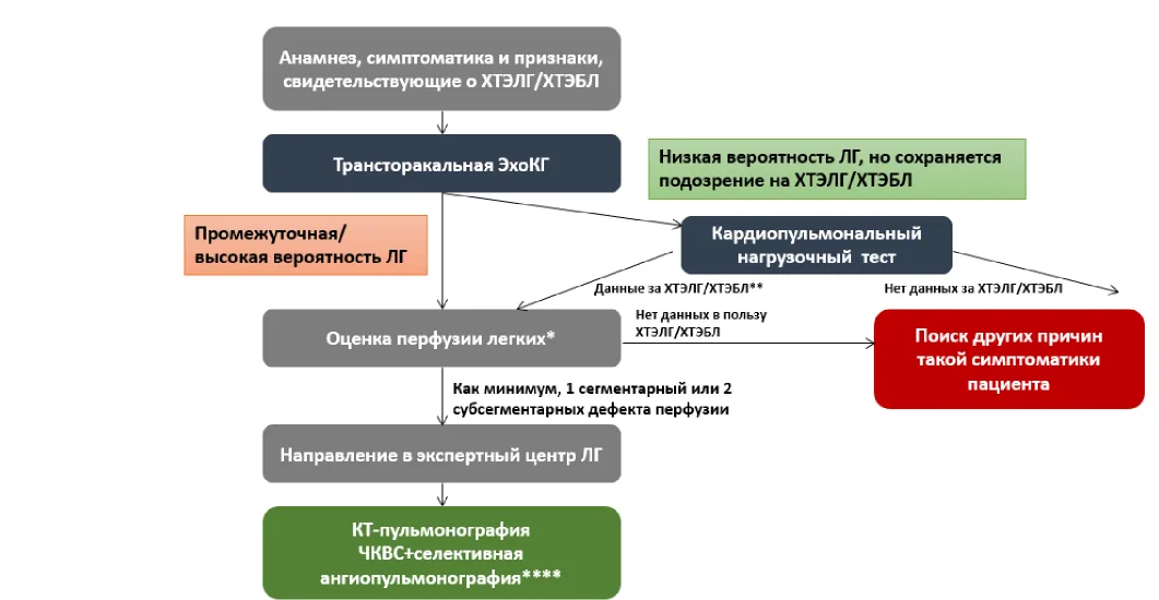 Приложение Б. Алгоритмы действий врача — Легочная гипертензия, в том числе хроническая тромбоэмболическая легочная гипертензия
