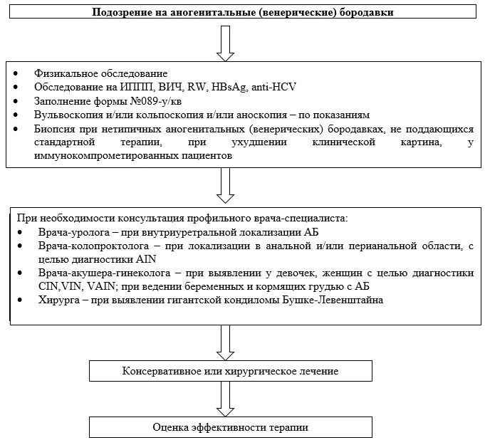 Приложение Б. Алгоритмы действий врача — Аногенитальные (венерические) бородавки