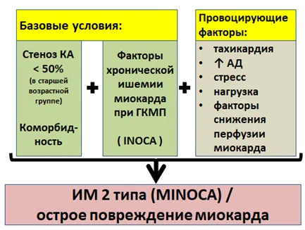 Приложение А3. Справочные материалы — Гипертрофическая кардиомиопатия