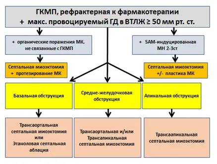 Приложение Б. Алгоритмы действий врача — Гипертрофическая кардиомиопатия