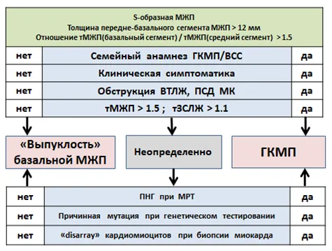 Приложение А3. Справочные материалы — Гипертрофическая кардиомиопатия