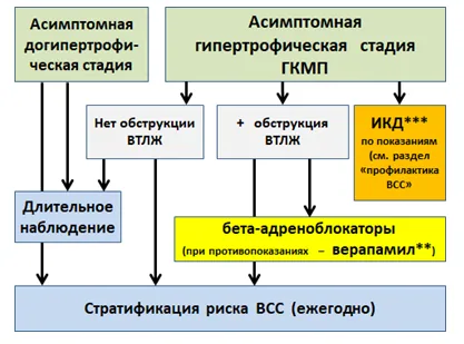 Приложение Б. Алгоритмы действий врача — Гипертрофическая кардиомиопатия