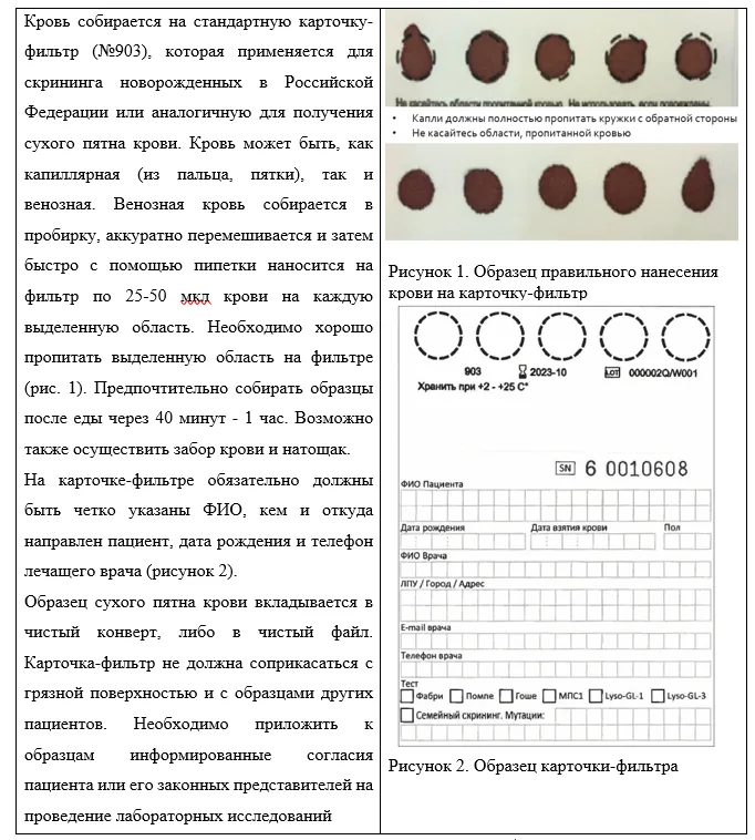 Приложение А3. Справочные материалы — Мукополисахаридоз тип II