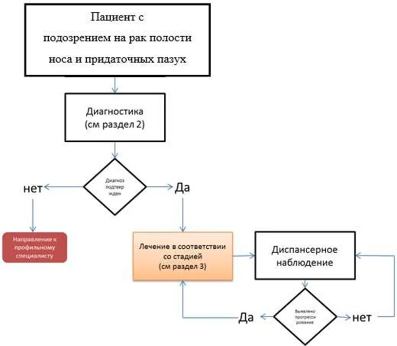 Приложение Б. Алгоритмы действий врача — Рак полости носа и придаточных пазух