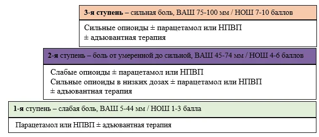 3. Лечение — Хронический болевой синдром (ХБС) у взрослых пациентов, нуждающихся в паллиативной медицинской помощи