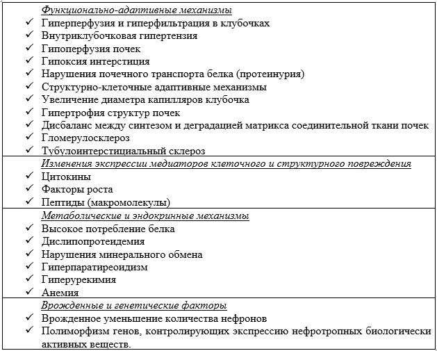 1.2 Этиология и патогенез заболевания или состояния (группы заболеваний или состояний) — Хроническая болезнь почек (ХБП)