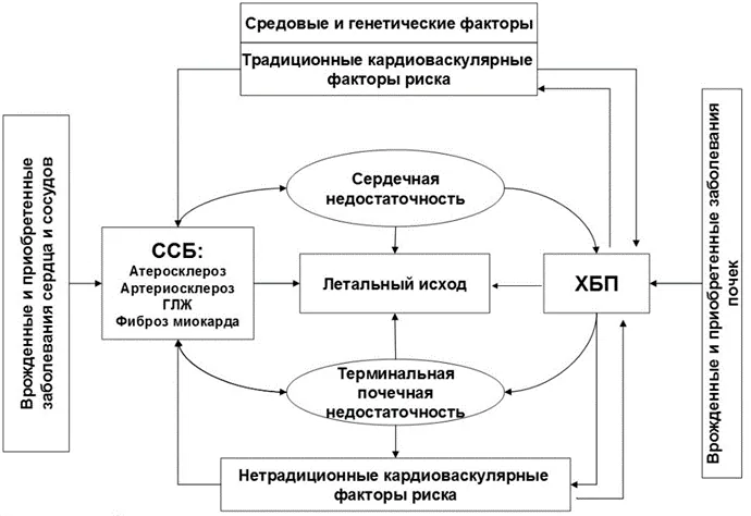1.2 Этиология и патогенез заболевания или состояния (группы заболеваний или состояний) — Хроническая болезнь почек (ХБП)