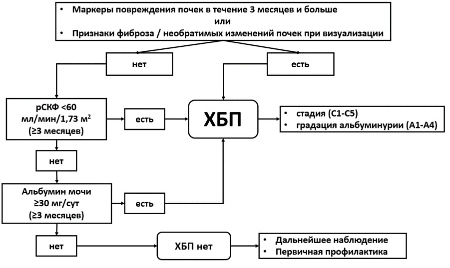 Приложение Б. Алгоритмы действий врача — Хроническая болезнь почек (ХБП)