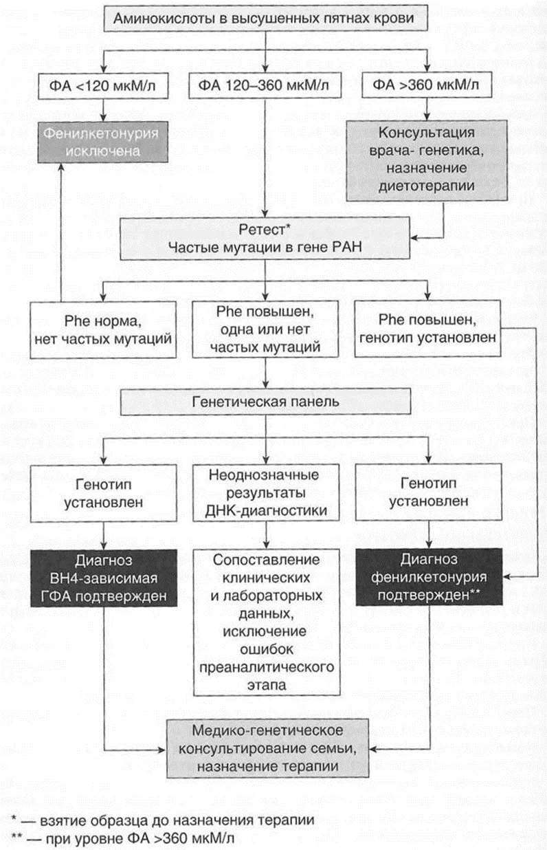 Приложение Б. Алгоритмы действий врача — Классическая фенилкетонурия и другие виды гиперфенилаланинемии