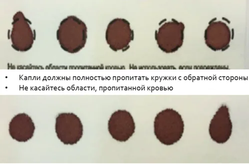 Приложение А3. Справочные материалы — Классическая фенилкетонурия и другие виды гиперфенилаланинемии