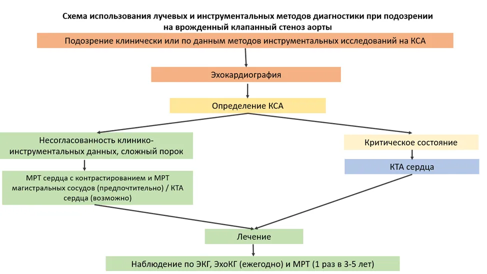 Приложение Б. Алгоритмы действий врача — Врожденный клапанный стеноз аорты