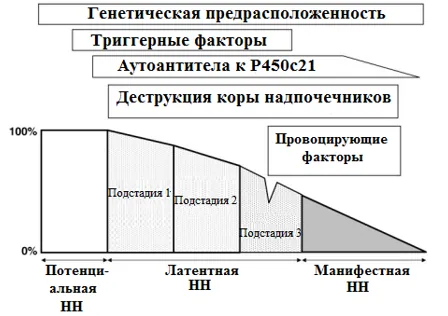 7. Дополнительная информация — Первичная надпочечниковая недостаточность