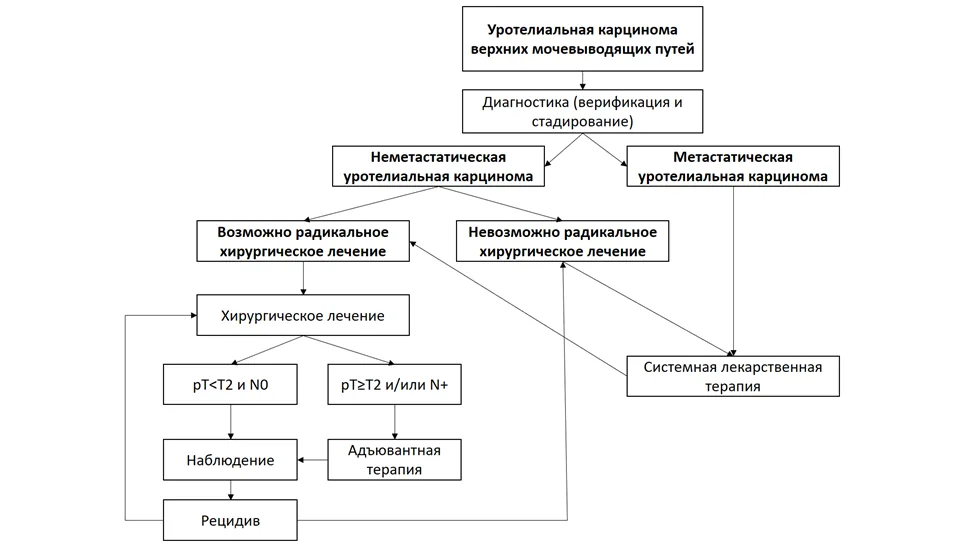 Приложение Б. Алгоритмы действий врача — Уротелиальный рак верхних мочевыводящих путей