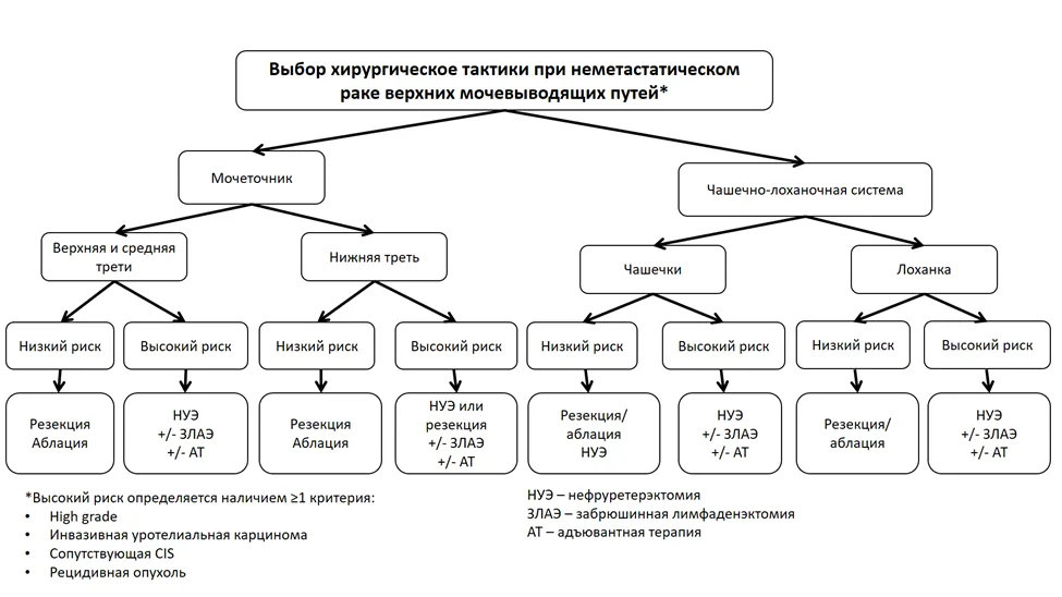 Приложение Б. Алгоритмы действий врача — Уротелиальный рак верхних мочевыводящих путей