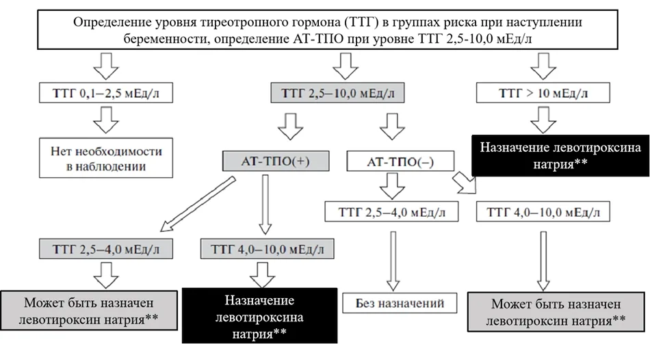 Приложение Б. Алгоритмы действий врача — Гипотиреоз