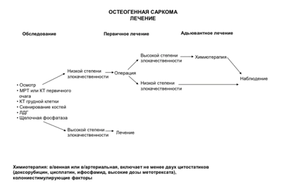 Приложение Б. Алгоритмы действий врача — Саркомы костей
