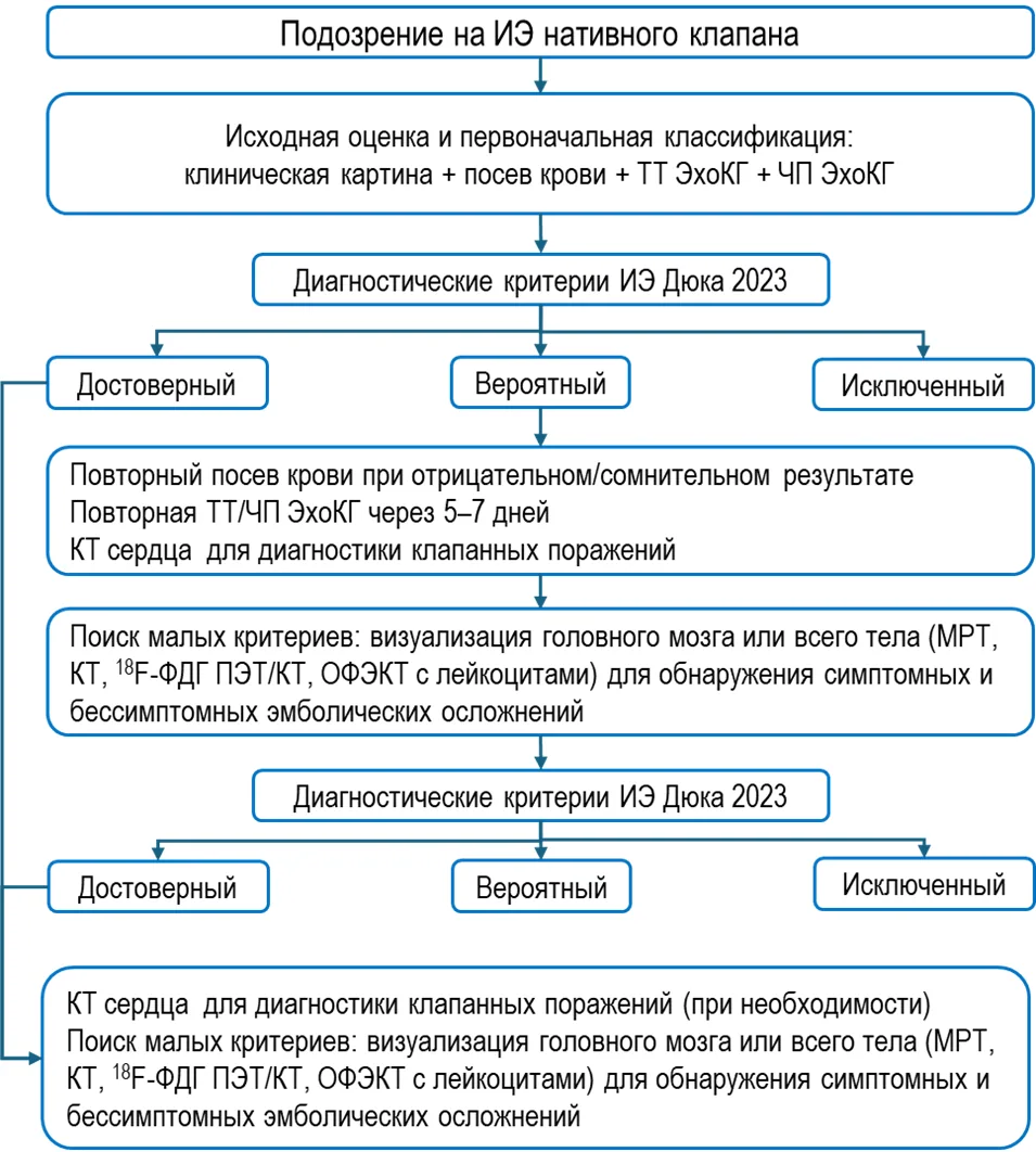Приложение Б. Алгоритмы действий врача — Инфекционный эндокардит и инфекция внутрисердечных устройств