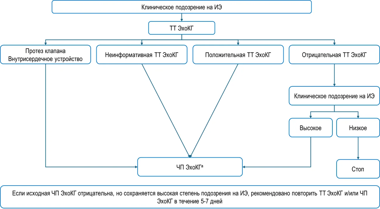 Приложение Б. Алгоритмы действий врача — Инфекционный эндокардит и инфекция внутрисердечных устройств