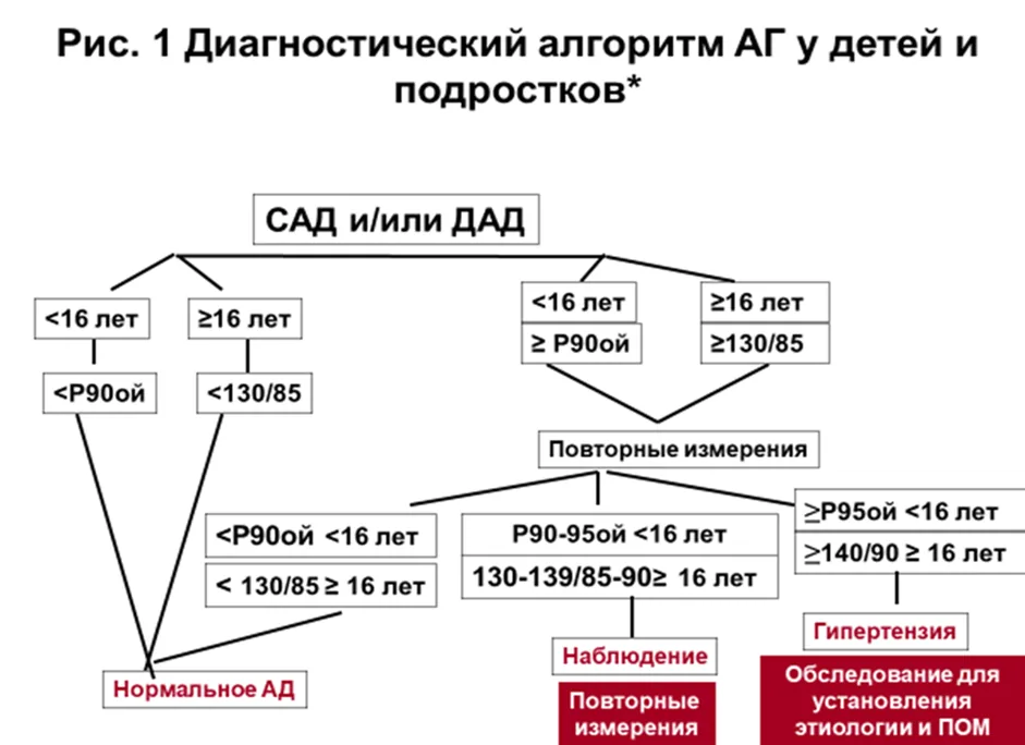 Приложение Б. Алгоритмы действий врача — Артериальная гипертензия у детей