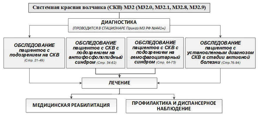 Приложение Б. Алгоритмы действий врача — Системная красная волчанка