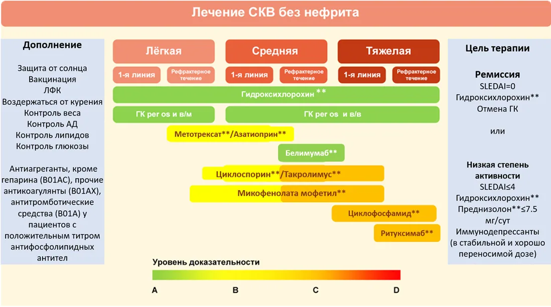 Приложение Б. Алгоритмы действий врача — Системная красная волчанка