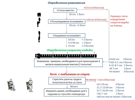 Приложение А3. Справочные материалы — Старческая астения